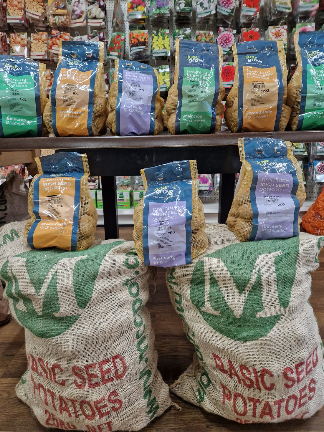 Growing Seed Potatoes