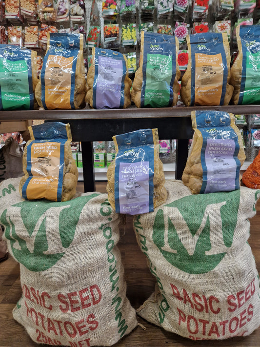 Growing Seed Potatoes