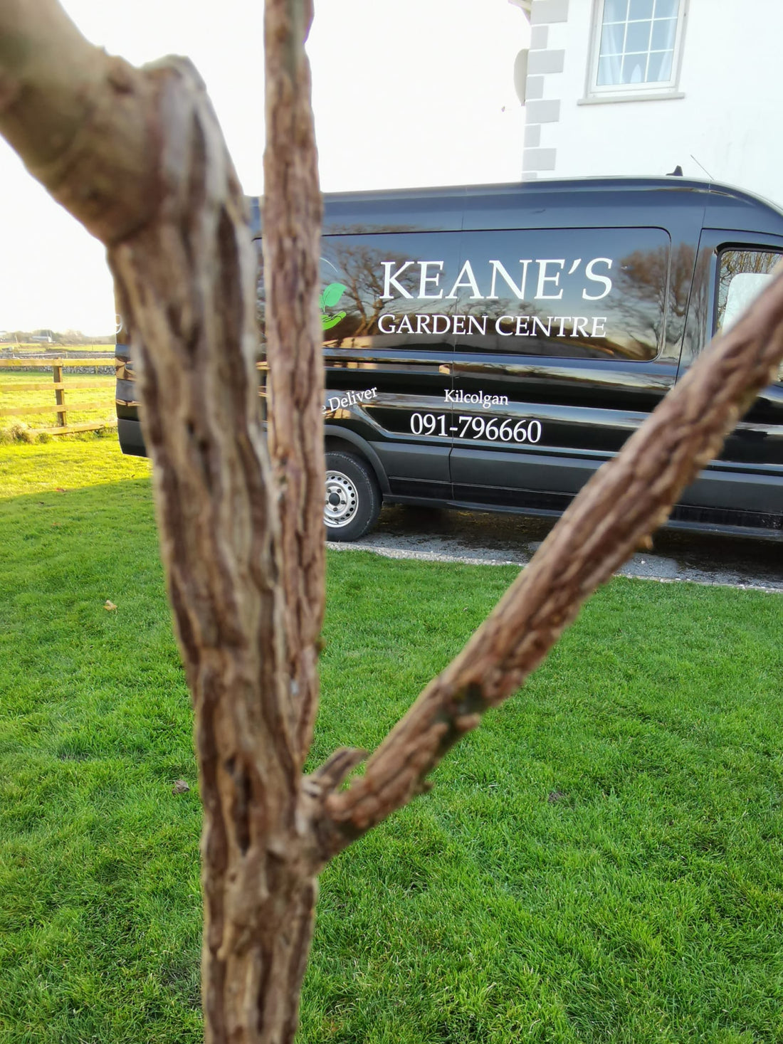 Native Trees & Hedges