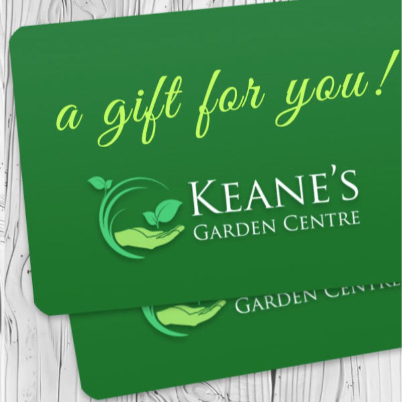 A gift card for Keane's Garden Centre. Buy it online