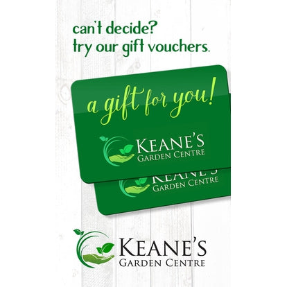 Gift Vouchers 