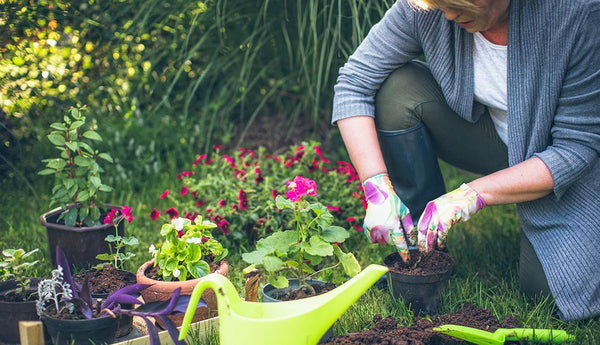 Teach your kids to eat healthy through gardening