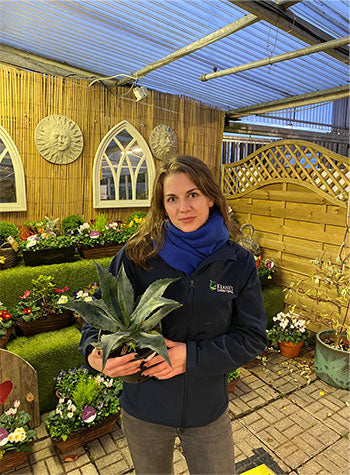 Ruta's favourite plant is Agave