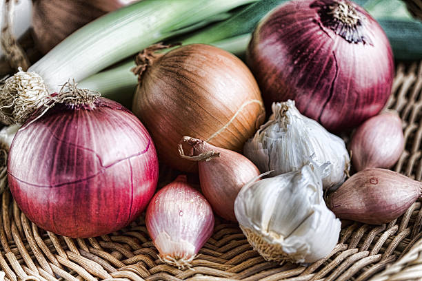 How To Grow Garlic & Onions in Autumn