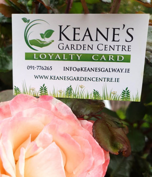 Keanes Garden Centre, loyalty card, voucher , gardening, plants 