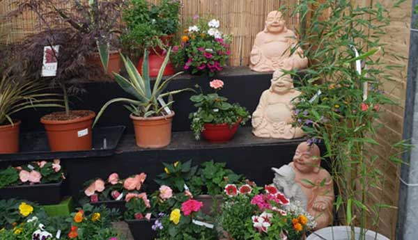 Planting containers is not for the faint hearted but not to fear - the experts are here!