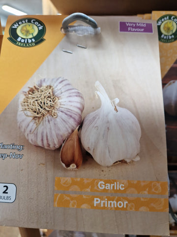 Garlic Primor