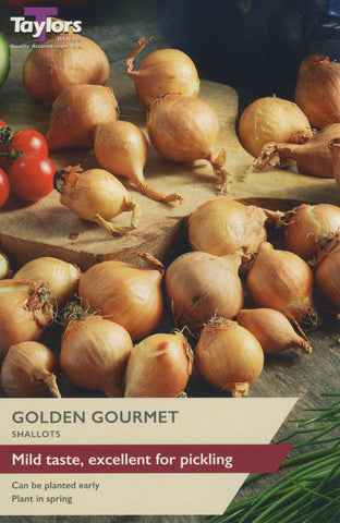 Golden Gourmet Shallots