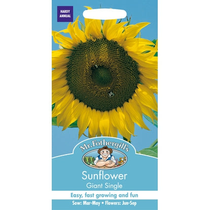 Sunflower Giant Single Seeds