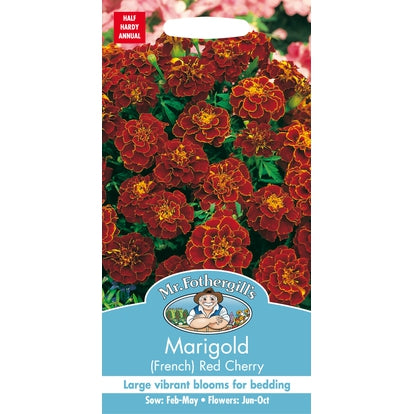 Marigold (French) Red Cherry Seeds