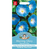 Morning Glory Heavenly Blue Seeds