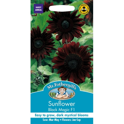 Sunflower Black Magic F1 Seeds