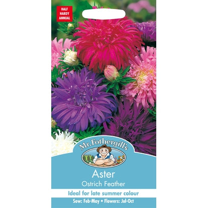 Aster Ostrich Feather Seeds