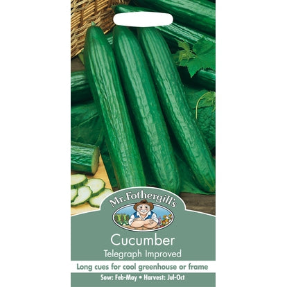 Cucumber Telegraph Improved Seeds