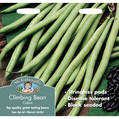 Climbing Bean Cobra Seeds