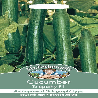Cucumber Telepathy Seeds