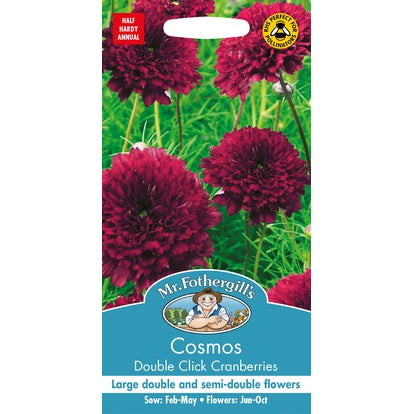 Cosmos Double Click Cranberries Seeds