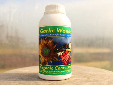 Garlic Wonder concentrate